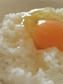 大寒たまごでTKG(たまごかけご飯)-レシピのメイン写真