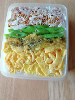 ミニタッパーで押し寿司弁当-レシピのメイン写真