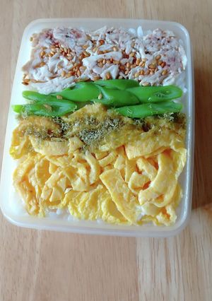 ミニタッパーで押し寿司弁当-レシピのメイン写真