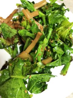 青菜とメンマのごま油炒め-レシピのメイン写真