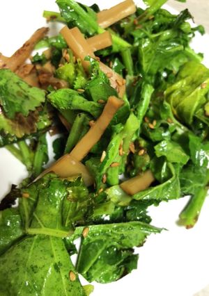 青菜とメンマのごま油炒め-レシピのメイン写真