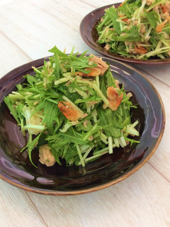 切り干し大根と水菜のサラダ-レシピのメイン写真