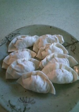 冷凍保存可能☆ニラ入りカリカリ餃子-レシピのメイン写真