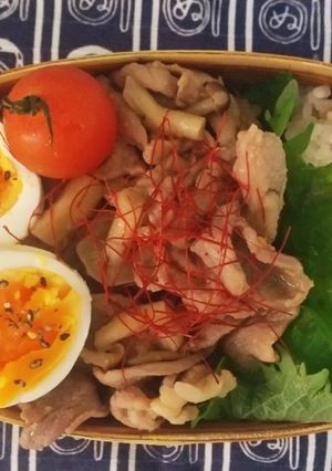 ☆わっぱ弁当生活324-レシピのメイン写真