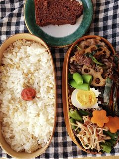 お弁当★オクラとえのきのおかか梅肉和え-レシピのメイン写真