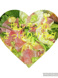 塩レモンのさっぱりサラダ-レシピのメイン写真
