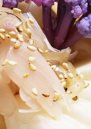 お年寄り絶賛シリーズ☆大根蜂蜜・酢漬け☆-レシピのメイン写真