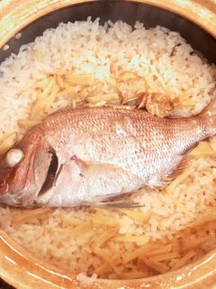 土鍋で鯛めし-レシピのメイン写真