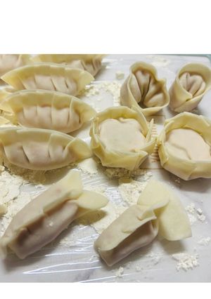 失敗しない絶品手作り餃子!-レシピのメイン写真