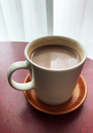 お鍋でつくる本格ココア-レシピのメイン写真