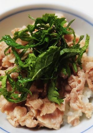 豚しそ丼-レシピのメイン写真