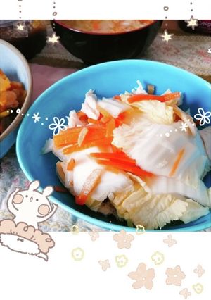 中華風鶏むね白菜サラダ-レシピのメイン写真