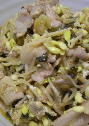 ピリ辛☆豚肉ともやしの高菜炒め-レシピのメイン写真