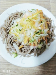 サラダ!お野菜モリモリ冷たいそば!-レシピのメイン写真