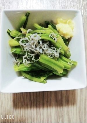 チョイサム(菜心)辛子醤油和え(^_-)-レシピのメイン写真