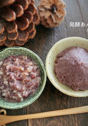 痩せ活！お砂糖無しで甘い！発酵あんこ-レシピのメイン写真