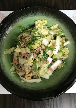 白菜　サラダ-レシピのメイン写真