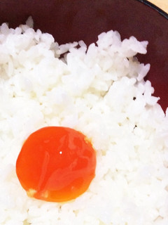 卵黄の味噌漬け-レシピのメイン写真