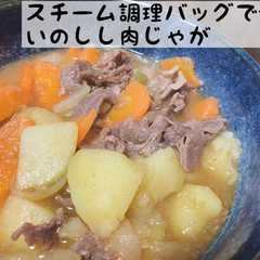 スチーム調理バッグで作るいのしし肉じゃが-レシピのメイン写真