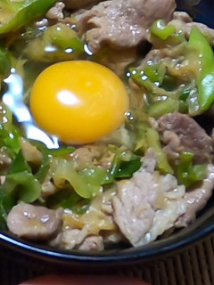 イノシシ肉のすた丼-レシピのメイン写真