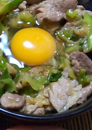 イノシシ肉のすた丼-レシピのメイン写真