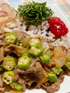薬味でさっぱりオクラ牛丼-レシピのメイン写真