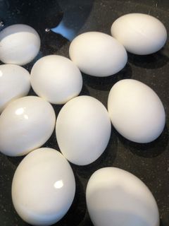 白出汁の味付け半熟茹で卵-レシピのメイン写真
