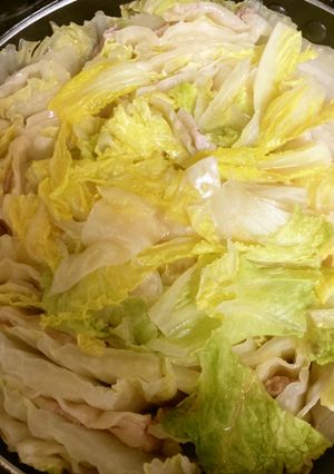 おなか満足白菜ミルフィーユ-レシピのメイン写真