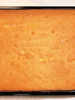 簡単スポンジシート-レシピのメイン写真