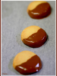 チョコがけクッキー-レシピのメイン写真