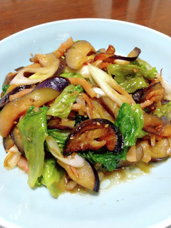 ナス、ベーコンの炒め(他の野菜もプラス)-レシピのメイン写真