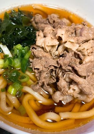 簡単肉うどん-レシピのメイン写真