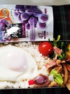 野菜炒め弁当(1.31)-レシピのメイン写真