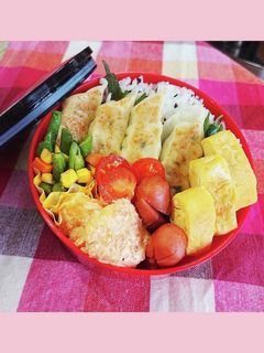 餃子弁当-レシピのメイン写真
