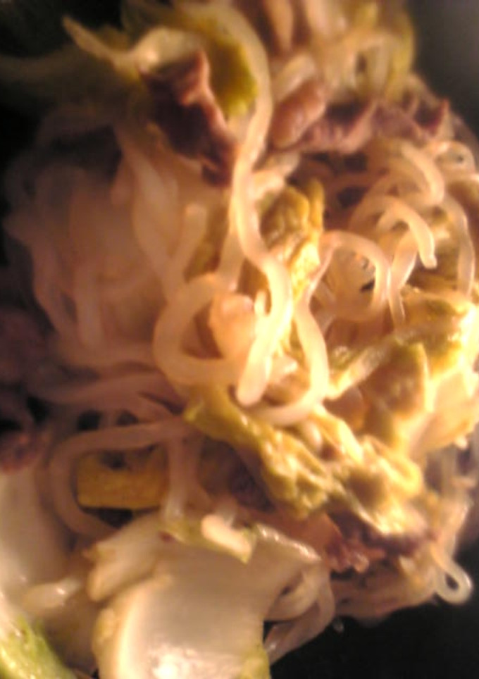 牛肉と白菜と糸蒟蒻のすき焼き風煮物-レシピのメイン写真