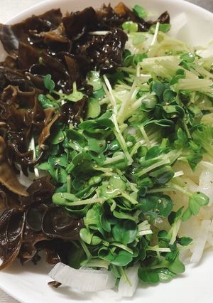 大根サラダ-レシピのメイン写真