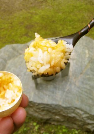 卵の殻で炊飯＆卵かけごはん-レシピのメイン写真