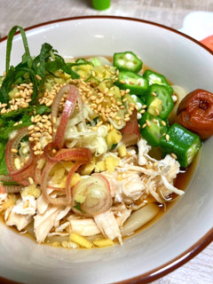 薬味たっぷり!山形のダシ風ささみうどん-レシピのメイン写真
