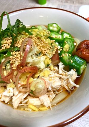 薬味たっぷり！山形のダシ風ささみうどん-レシピのメイン写真