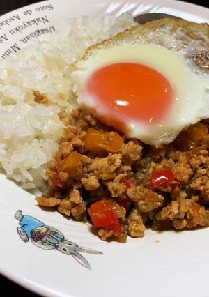 家族の好きなガパオライス♪-レシピのメイン写真