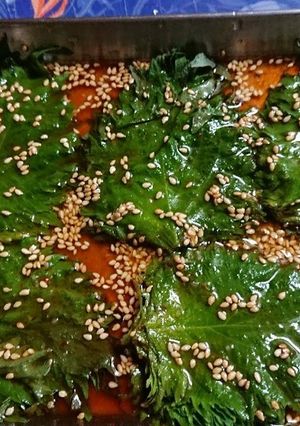 大葉の醤油漬け「韓国風」-レシピのメイン写真