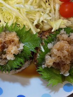 おろしハンバーグ 取り分け-レシピのメイン写真