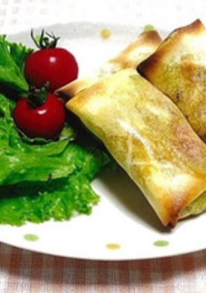 油で揚げない！野菜たっぷり春巻き-レシピのメイン写真