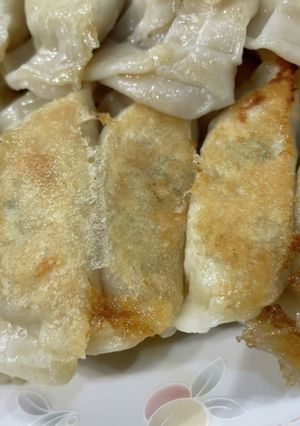 鶏ひき肉で作る餃子-レシピのメイン写真