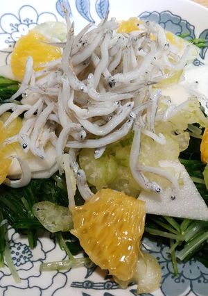 しらすのサラダ-レシピのメイン写真