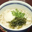 とろっと、つるっと♪白だしとろろうどん