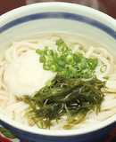 とろっと、つるっと♪白だしとろろうどん