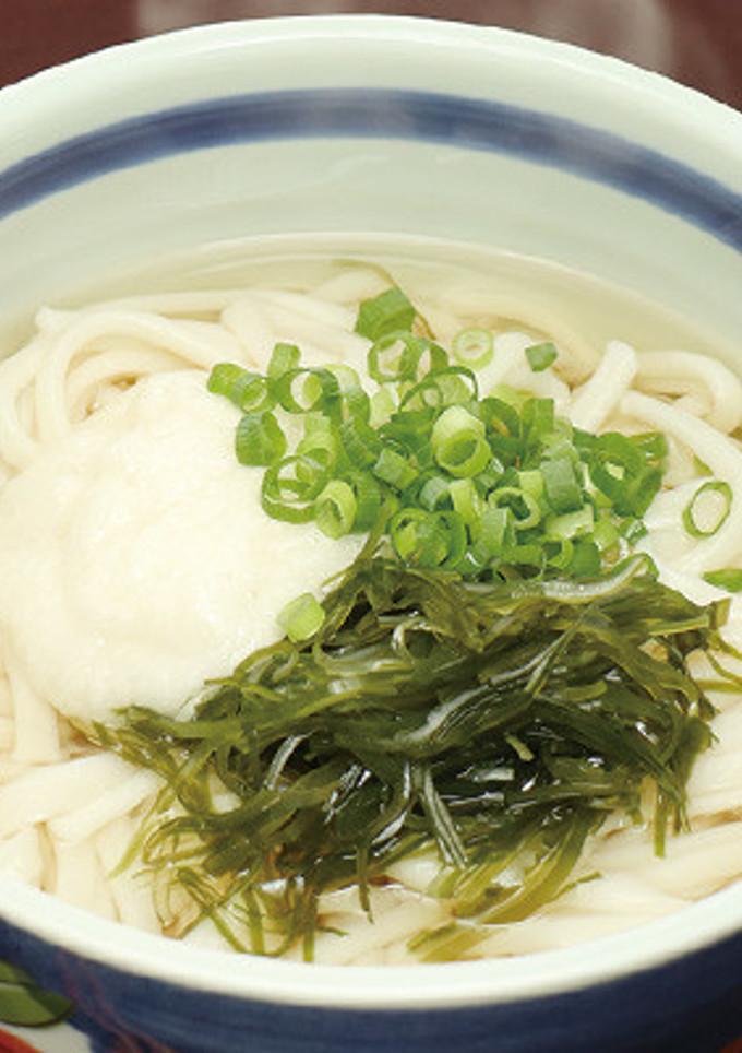とろっと、つるっと♪白だしとろろうどん-レシピのメイン写真
