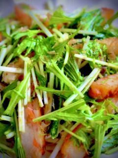 水菜と薩摩揚げの大蒜醤油風味サラダ-レシピのメイン写真