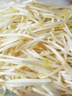 「水」なし!もやしの保存-レシピのメイン写真